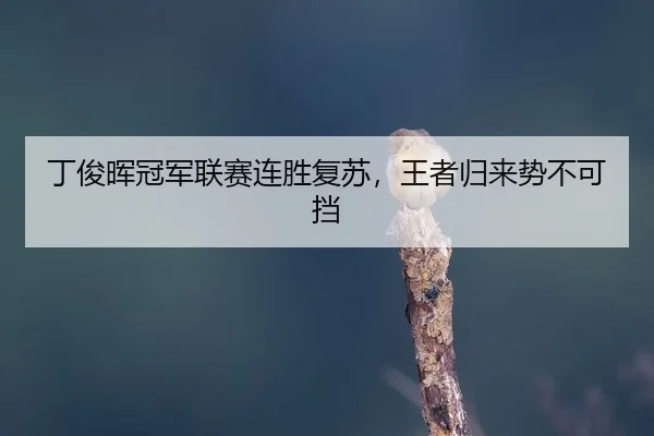 ding-jun-hui-guan-jun-lian-sai-lian-sheng-fu-su-wang-zhe-gui-lai-shi-bu-ke-dang-2-297.jpg