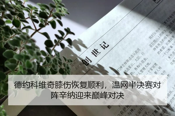 de-yue-ke-wei-qi-xi-shang-hui-fu-shun-li-wen-wang-ban-jue-sai-dui-zhen-xin-na-ying-lai-dian-feng-dui-jue-2-291.jpg