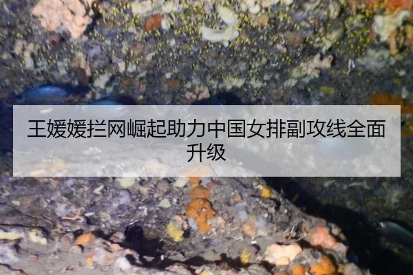 wang-yuan-yuan-lan-wang-jue-qi-zhu-li-zhong-guo-nv-pai-fu-gong-xian-quan-mian-sheng-ji-2-475.jpg