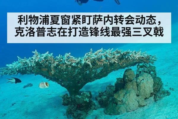 利物浦夏窗紧盯萨内转会动态,克洛普志在打造锋线最强三叉戟
