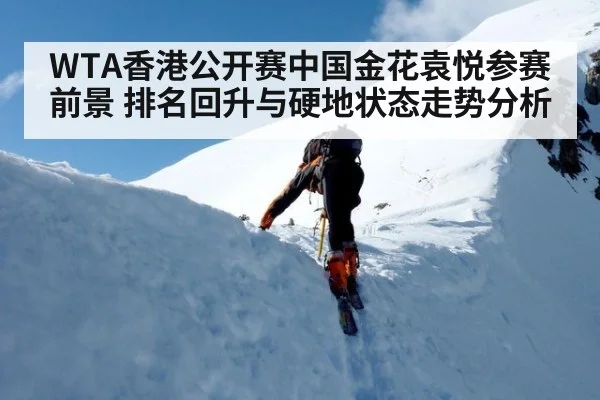 WTA香港公开赛中国金花袁悦参赛前景 排名回升与硬地状态走势分析